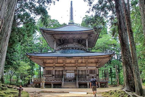 Viaggio al Koyasan: una Notte in un Tempio Giapponese.